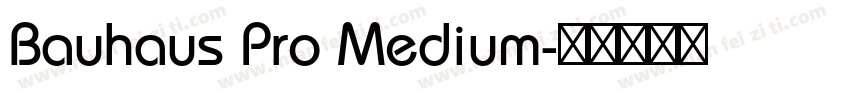 Bauhaus Pro Medium字体转换